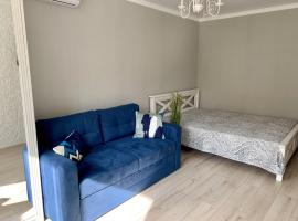 Sisters apartment UKR，位于切尔尼戈夫的酒店