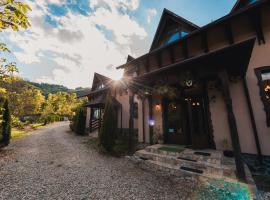 Pensiunea Valea cu Salcâmi，位于下维谢乌乡的豪华型酒店