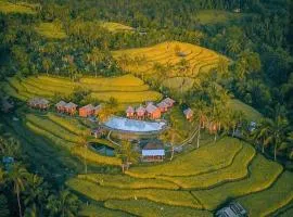 Puri Sunny Camp