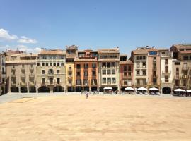 Apartaments Vicus 2 con vistas a la Plaza Mayor de Vic，位于维克的带热水浴缸的酒店