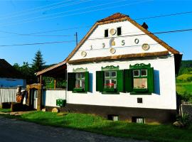 Transylvanian country house，位于Veţca的乡间豪华旅馆
