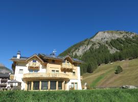 B&B Ecohotel Chalet des Alpes，位于利维尼奥的浪漫度假酒店