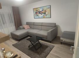 Popasu din oras，位于巴亚马雷的酒店