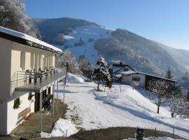 Steiert Panorama Apartments Todtnau，位于托特瑙的酒店