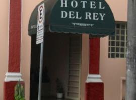Hotel Del Rey，位于圣若昂达博阿维斯塔的酒店