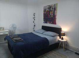 Casa Miron Unirii 3Strada Matei Corvin Apartament，位于蒂米什瓦拉的酒店