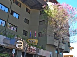 阿斯彭公寓酒店，位于亚松森的酒店