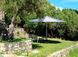 Olive stone Villa