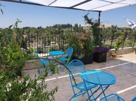 Biazi Hotel，位于耶路撒冷Jerusalem Botanical Garden附近的酒店