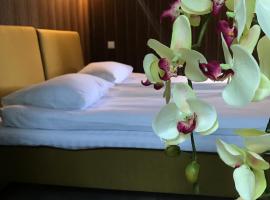 Apartamentai dviems su vaizdu į parką，位于帕兰加的酒店