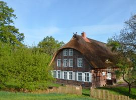 Deichkind - Reetdachhaus direkt am Elbdeich，位于Mödlich的酒店