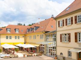 Schlosshotel Neckarbischofsheim，位于Neckarbischofsheim的酒店