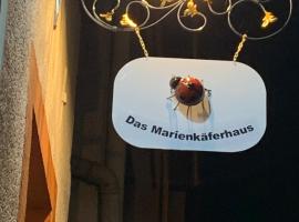 Mosel - Uerzig - Das Marienkaeferhaus，位于于尔齐希的酒店