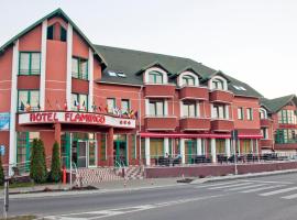 火烈鸟酒店及健康中心，位于密古雷休治的酒店