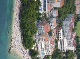 Hotel Hrvatska，位于巴什卡沃达的酒店