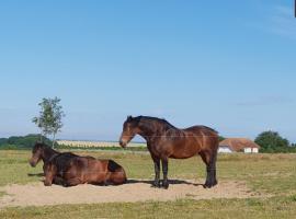 Ferienapartment Wiese & Meer auf Rügen，位于耐德西茨的公寓