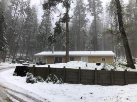 Sequoia National Forest CabinM，位于Panorama Heights的酒店