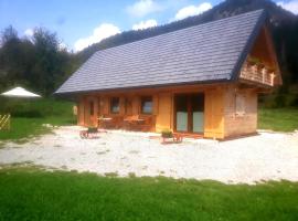 Chalet LA BAITA SULL'ORTO，位于塔尔维西奥的酒店