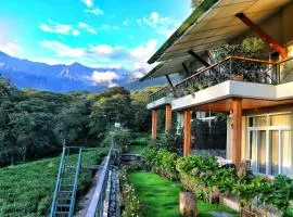 Lamrin Norwood Green Palampur, Himachal Pradesh