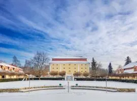 杜弗尔佩奇诺夫酒店