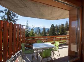 Anzère skis - promenade，位于安塞热的酒店