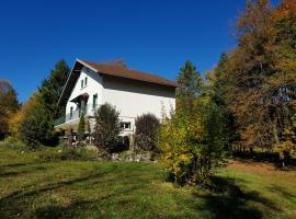 Gîte grande capacité au calme circuit Cascades du Hérisson，位于Bonlieu的酒店