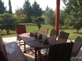 Villa Elly