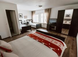 Hôtel Lion d'Or，位于Neirivue的酒店