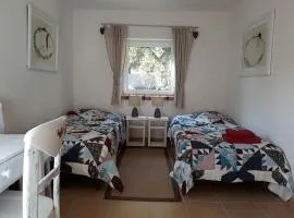 Dom Sztuk - House of Arts