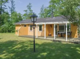 Holiday Home Jerup With Fireplace Iv