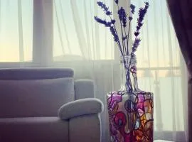 Zen Apartment Oradea - FREE Parking