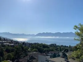 New Luxury Lake view Apartment - Lausanne