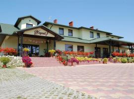 Hotel Magnat，位于Głogów Małopolski的酒店