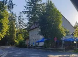 Hotel Berggasthof Waldlust