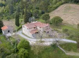 Fattoria di Cintoia