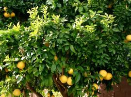 LEMON TREE，位于特罗吉尔的旅馆