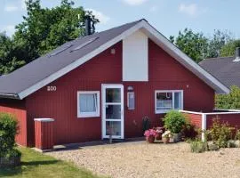 Cozy Home In Hemmet With Kitchen