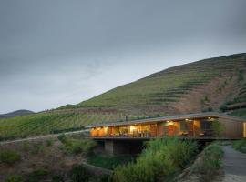 Casa do Rio Wine Hotel - Vallado，位于福什科阿新镇的农家乐