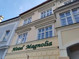 Hotel Magnolia Roudnice，位于拉贝河畔罗乌德尼采的酒店