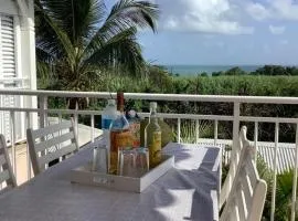 VILLA ALIZEE Appartement 4