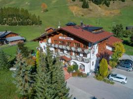 Panorama-Hotel Winklerhof，位于豪尔兹高的酒店