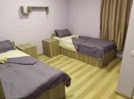 The FIRST HOTEL，位于Dushetʼi的酒店