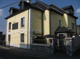 克莱尔街住宿加早餐旅馆，位于尼纳Nenagh Golf Club附近的酒店