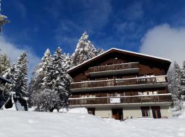 Lärchenwald Lodge，位于贝尔瓦尔德Furggulti Ski Lift附近的酒店