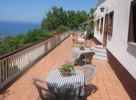 阿里奥拉塔希奇乡村民宿