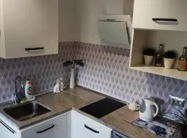 Apartament Teo -Rewal