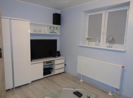 Apartament Szczawno-Zdrój -Wałbrzych，位于瓦乌布日赫的家庭/亲子酒店