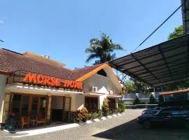 Morse Guest house