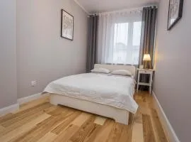 CR Apartament w sercu miasta Lipowa 1