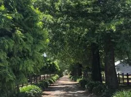 Oak Lane Guest House & Farm Stay